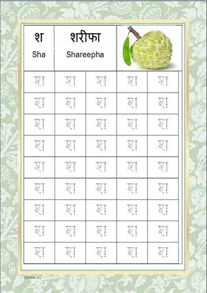 Hindi Alphabet श (Sha) Tracing Worksheet. Free printable Hindi Alphabets with 45 Tracing Blocks worksheet for Kindergarten/Preschool/LKG.