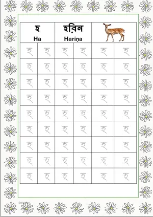 Bengali alphabet (Swarabarna) হ (Ha) Tracing Worksheet. Free printable Bengali Alphabets with 54 Tracing Blocks worksheet for Kindergarten/Preschool/LKG.