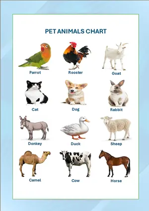 Pet Animals Chart with Name in English Montessori Posters Classroom Decor Digital Download Free Printables