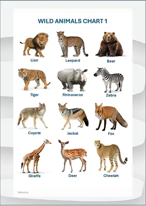 Wild Animals Chart 1 with Name in English Montessori Posters Classroom Decor Digital Download Free Printables