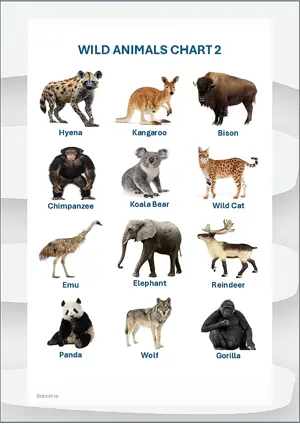 Wild Animals Chart 2 with Name in English Montessori Posters Classroom Decor Digital Download Free Printables