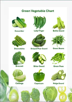 Green Vegetable Chart with Name in English Montessori Posters Classroom Decor Digital Download Free Printables