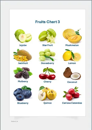 Fruits Chart 3 with Name in English Montessori Posters Classroom Decor Digital Download Free Printables