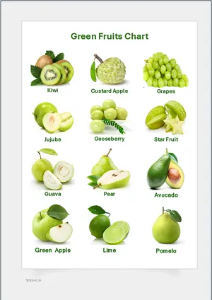 Green Fruits Chart with Name in English Montessori Posters Classroom Decor Digital Download Free Printables