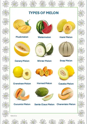 Melon Chart with Name in English Montessori Posters Classroom Decor Digital Download Free Printables