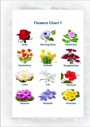 Flowers Chart 1 with Name in English Montessori Posters Classroom Decor Digital Download Free Printables