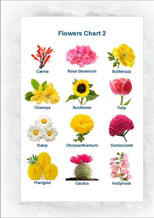 Flowers Chart 2 with Name in English Montessori Posters Classroom Decor Digital Download Free Printables