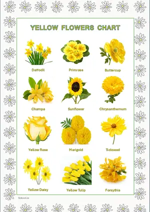 Yellow Flowers Chart with Name in English Montessori Posters Classroom Decor Digital Download Free Printables