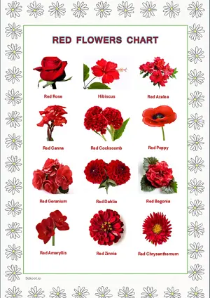 Red Flowers Chart with Name in English Montessori Posters Classroom Decor Digital Download Free Printables