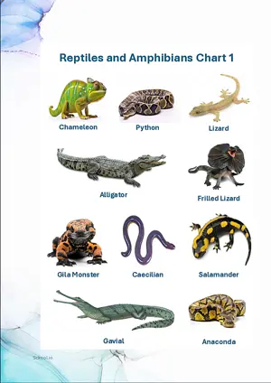 Reptiles and Amphibians Chart 1 with Name in English Montessori Posters Classroom Decor Digital Download Free Printables