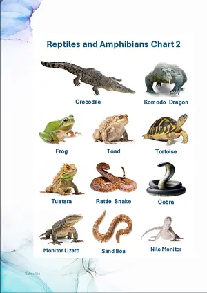 Reptiles and Amphibians Chart 2 with Name in English Montessori Posters Classroom Decor Digital Download Free Printables