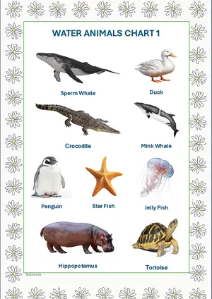 Water Animals Chart 1 with Name in English Montessori Posters Classroom Decor Digital Download Free Printables