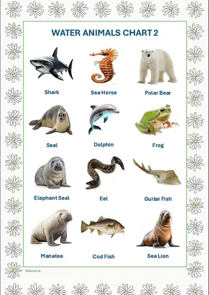 Water Animals Chart 2 with Name in English Montessori Posters Classroom Decor Digital Download Free Printables