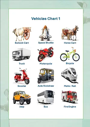 Vehicles Chart 1 with Name in English Montessori Posters Classroom Decor Digital Download Free Printables