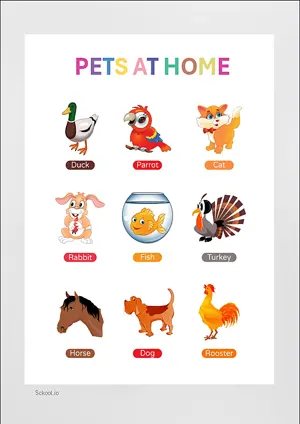 PETS AT HOME CHART with Name in English Montessori Posters Classroom Decor Digital Download Free Printables